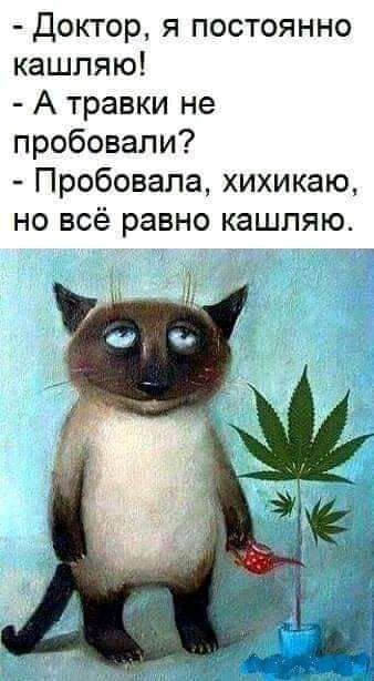 доктор я постоянно кашпяю А травки не пробовали Пробовала хихикаю но всё равно кашпяю