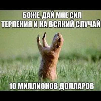 ЩЦ ЦШ