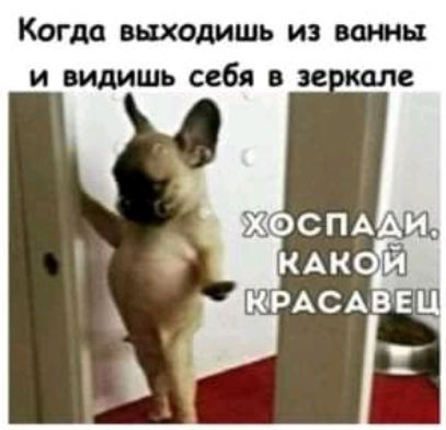 Когда выходишь из ванны и видишь себя в зе