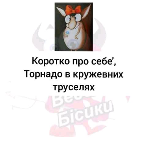 Коротко про себе Торнадо в кружевних труселях