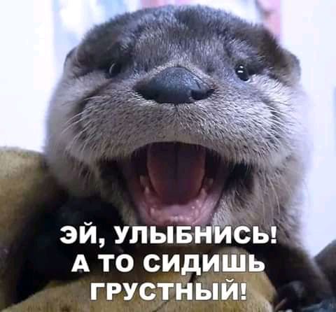 эй улыЁнЁсы А то сидишь грустныйтж