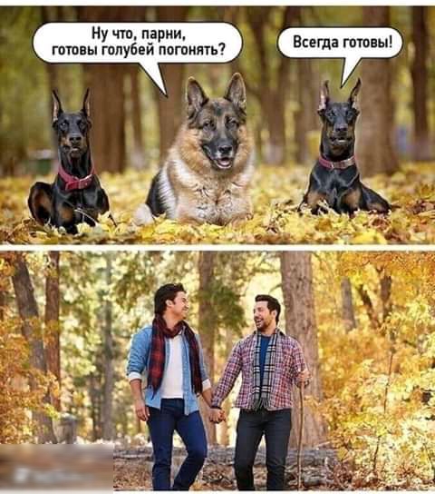 Всегда гпвны