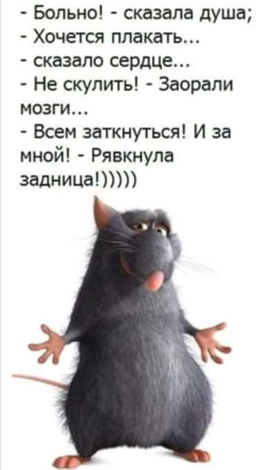 Больно сказала душа Хочется плакать сказало сердце Не скулить Заорали мозги Всем заткнуться И за мной Рявкнула задницы