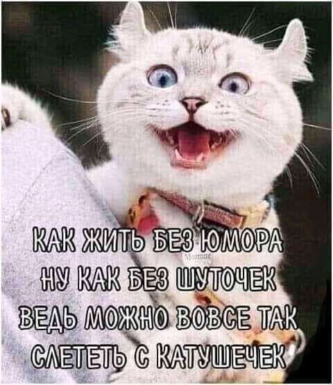 СЕ 4 АЕЕТЬ 1111111111Ё11Ёк