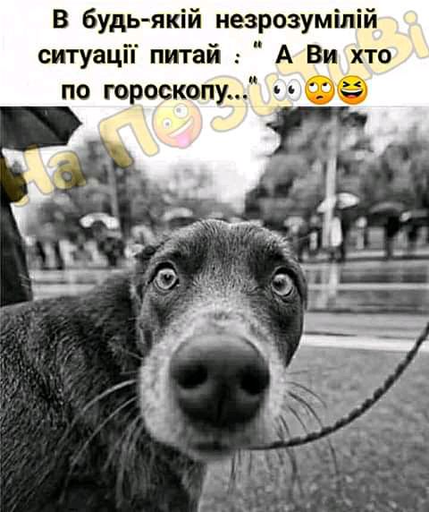В будь якій незрозуміпій ситуацй питай А Ви хто по гороскопу _