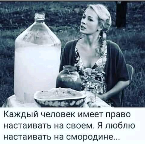 Каждый человек имеет право настаивать на своем Я люблю настаивать на смородина