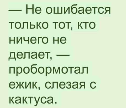 Не ошибается только тот кто ничего не делает пробормотал ежик слезая с кактуса