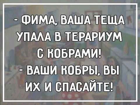 ФИМА ВАША ТЕЩА УПААА В ТЕРАРИУМ с НОБРАМИ ВАШИ ковры вы их и СПАБАЙТЕ