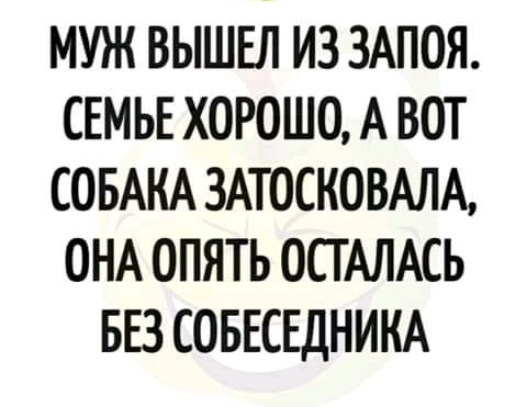 МУЖ ВЫШЕЛ ИЗ ЗАПОЯ СЕМЬЕ ХОРОШО А ВОТ СОБАКА 3АТ0СК08АЛА ОНА ОПЯТЬ ОСТАЛАСЬ БЕЗ СОБЕСЕДНИКА