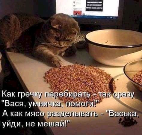 уйди не мешай