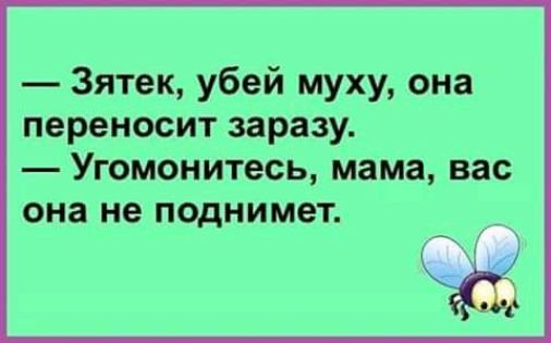 Зятек убей муху она переносит заразу Угомонитесь мама вас она не поднимет Ат