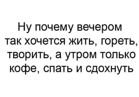 Ну почему вечером так хочется жить гореть творить а утром только кофе спать и сдохнуть