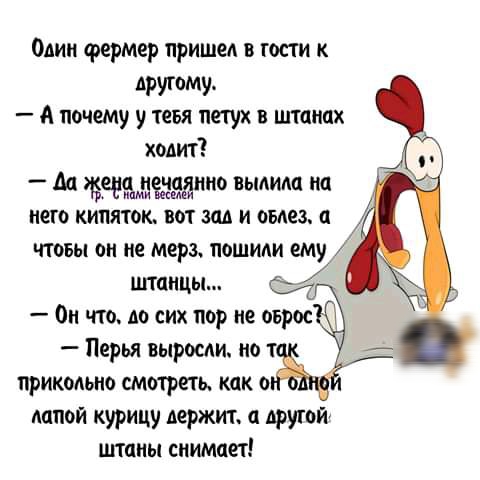 Один фермер пришел в гости к другому А почему у тевя петух в штанах ходит м терзмцежднио нылипп на него кипяток вот ш и отз п чтовы он не мерз пошиди ему штаицы Он что до сих пор не оврос Перья выросли по т прикодьно смотреть как о папой курицу держит другой штпиы сиимпет