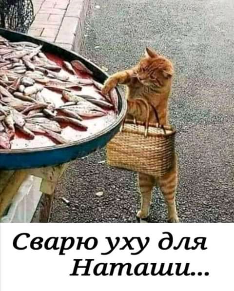 Сварю уху для Наташи