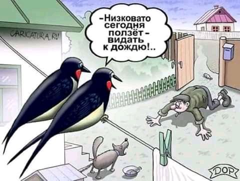 Низковаго СЕГОДЁП ползет
