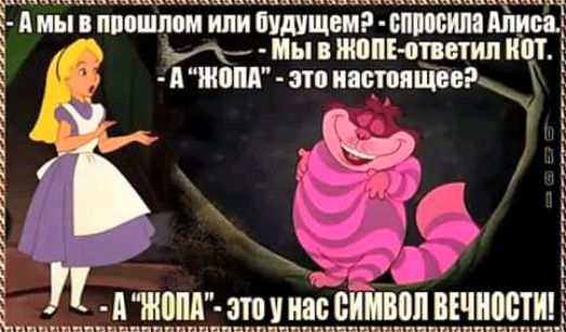 мы пппшпом или иушщемг спросим Алисы И Мы шин впиши Ш А топят что настоящий іі АПА С БИЙЁБПВЕЧИ