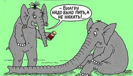 Вилпэ нллп было ПИТЬА не нюхять