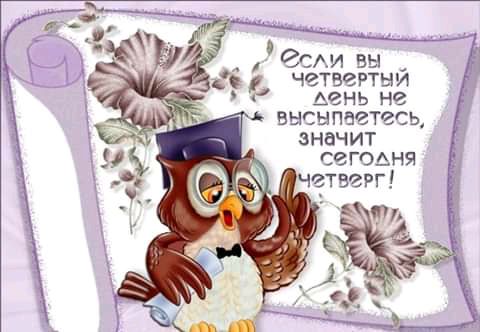 вдсмт вы четверти Мань но ВЫГЫПЗОТЗСЬ значит сеггмня