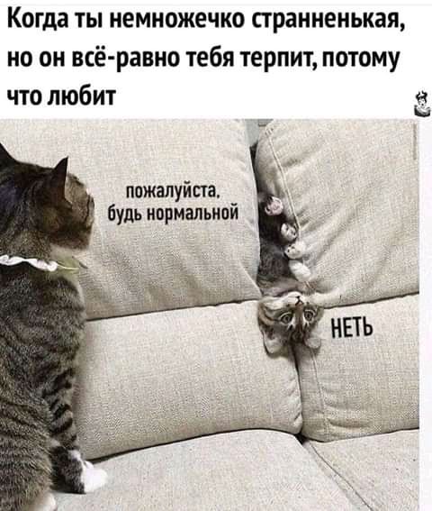 Когда ты немножечко пранненькая но он всё равно тебя терпит потому что любит Вы пожалуйста будь нормальной