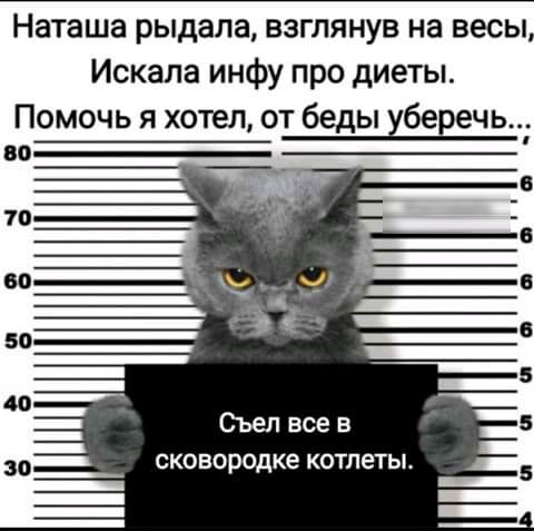 Наташа рыдала взглянув на весы Искала инфу про диеты Помочь я хотел от беды хберечь сковородке котлеты