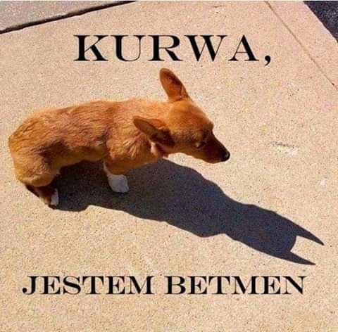 ЕЗТЕЪі ВЕТЬіЕХ