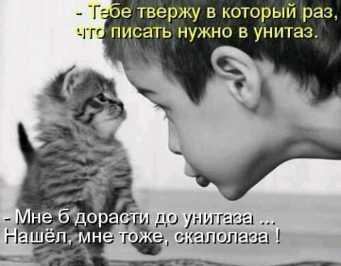 чо унты кшюлша вы ___