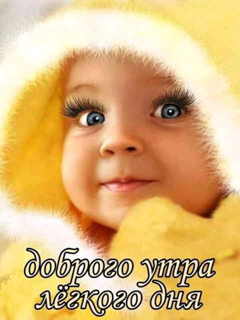 Вэб аа т ж