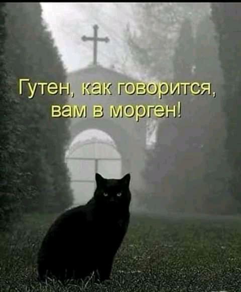 кг гоа ор ге _ 11 МОРГЗ