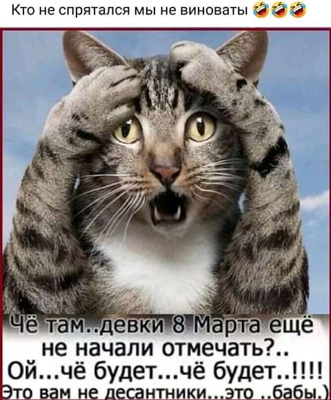 Кто не спрятался мы не виноваты 1957