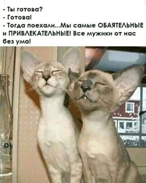 Ты готова Готова Тогда попадиМы самые ОБАЯТЕАЬНЫЕ и ПРИВАЕКАТЕАЬНЫЕ Все мужики от нас без ума