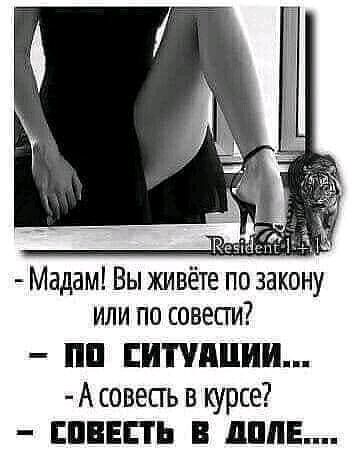 Мадам Вы живёте по закону или по совесги ПП ШПШШИ А совесгь курсе ШЕЕПЬ В ДМБ