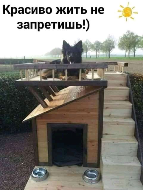 Красиво жить не запретишь