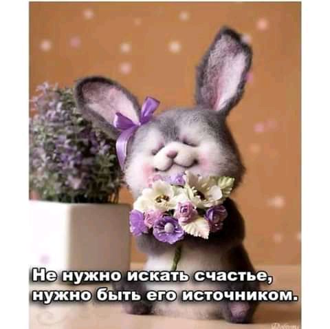 ЦБ нужно искатьсчастье нужно бЪть егоистбчииком _