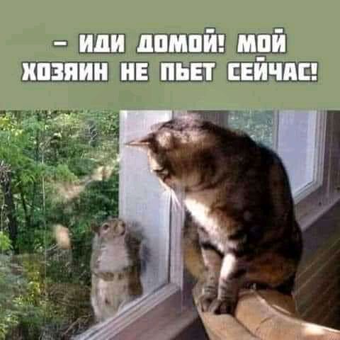 май Ш ЛШ ЦЗ ЦЁЩГ ТУТ ЕЦ Г 43