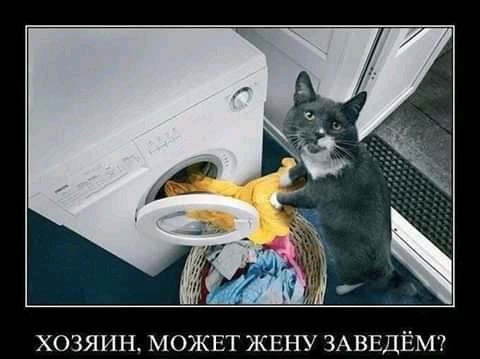 ХОЗЯИН МОЖЕТ ЖЕНУ ЗАВЕДЁМ