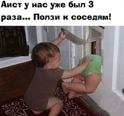 Аист у нас уже был 3 раза Попзи к соседям