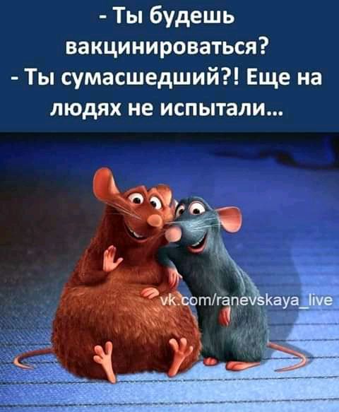 Ты будешь вакцинироваться Ты сумасшедший Еще на людях не испытали
