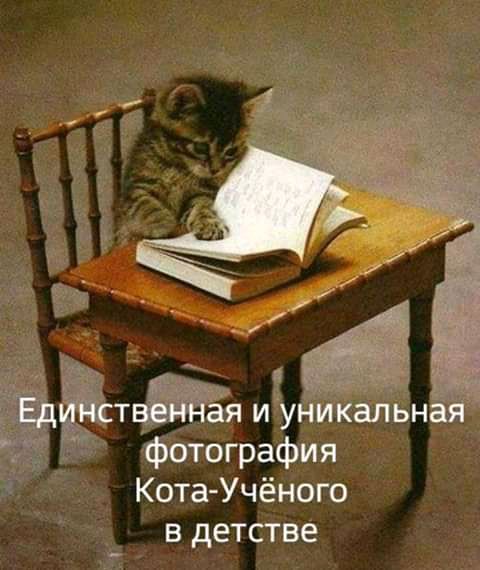 тм игунИКалвн __ Фбтография Кота Учёного в детстве