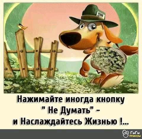 Нажтимаие иногда кнопку _ Не думать и Наслаждайтесь Жизнью