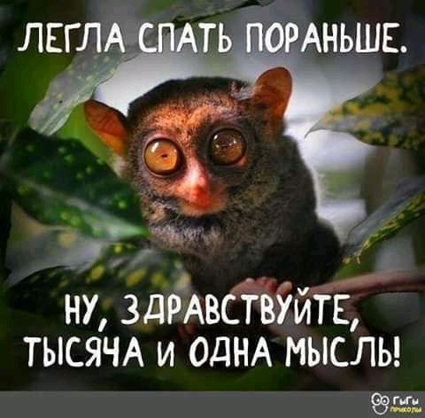 ну ідРАвбЁУЙТЬ ТЫСЯЧА и ОДНА мыслы 535