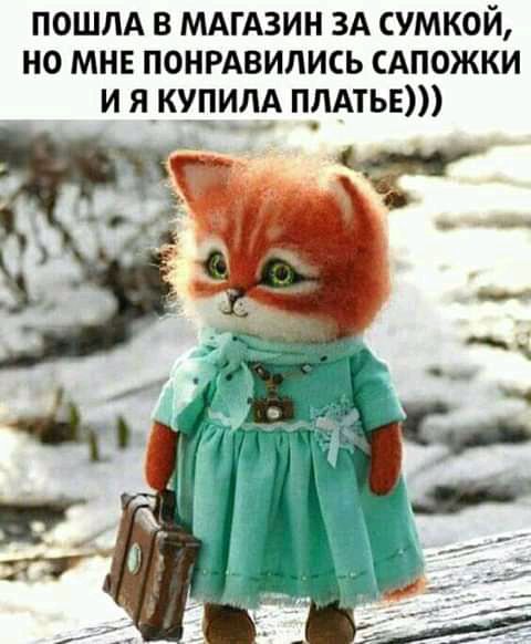 ПОШЛА В МАГАЗИН ЗА СУМКОЙ НО МНЕ ПОНРАВИЛИСЬ САПОЖКИ И Я_КУ_ЕИЛА ПЛАТЬЕ