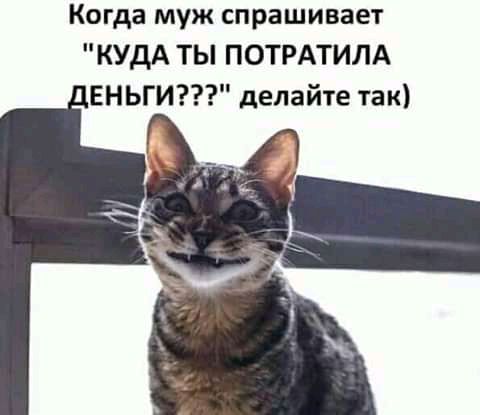 Когда муж спрашивает КУДА ТЫ ПОТРАТИЛА АЕНЬГИ делайте так