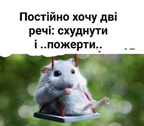 ВПРОВОКАТОР і речі схуднути і пожерти_