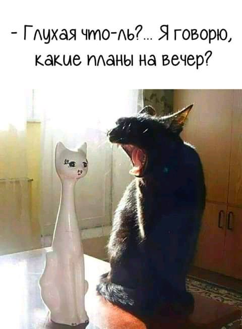 ГАЧХдЯ что Аь Я говорю какие Маны на вечер