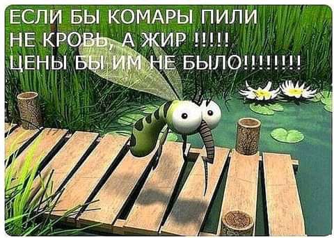 ЕСЛИ БЫ КОМАРЫ ПИПИ