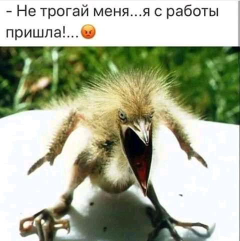 Не трогай меняя с работы пришла