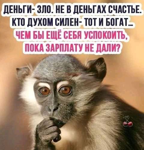 ЦЕНЬГИ ЗПП НЕ В ЦЕНЬГАХ СЧАСТЬЕ КТП ПЛЮЩ СИЛЕН Т0Т И БПГАТ_ ЧЕМ БЫ ЕЩЁ СЕБЯ УСППКЦИТЬ ПОКА ЗАРПЛАТУ НЕ ЛАЛИ