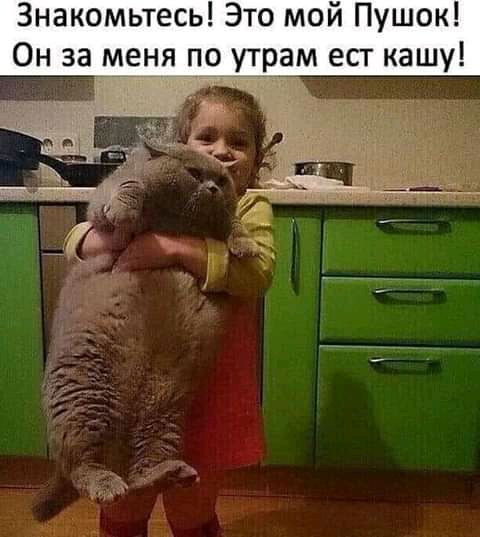 Знакомьтесь Это мой Пушок Он за МЕНЯ 19 утрам ест кашу