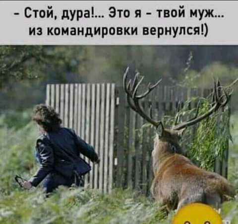 Стой дура Это я твой муж из командировки вернулся