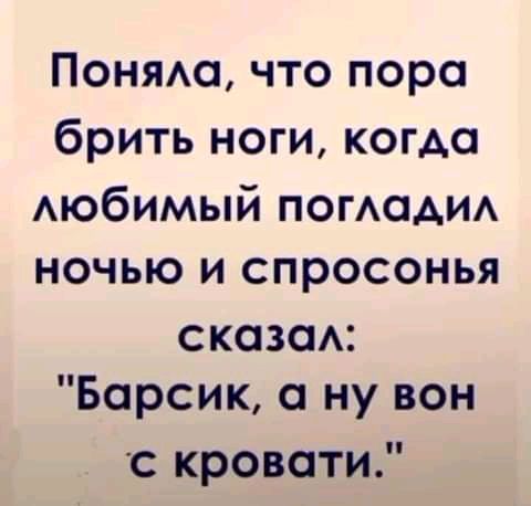 Понямп что пора брить ноги когда АЮбИМЫй ПОГАОАИА НОЧЬЮ И СПРОСОНЬЯ сказаА Барсик ну вон с кровати